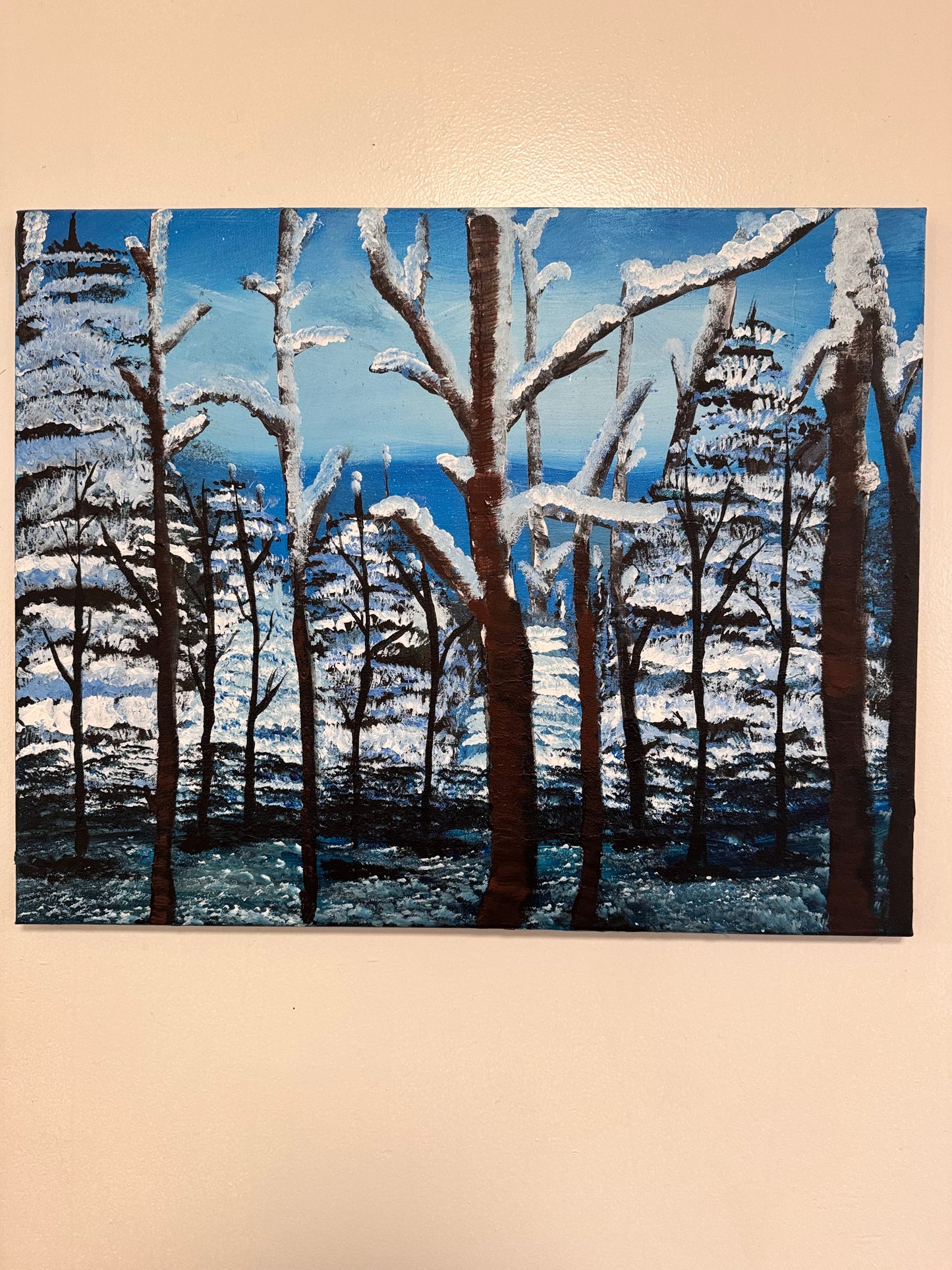 Wilderness Snow Haven