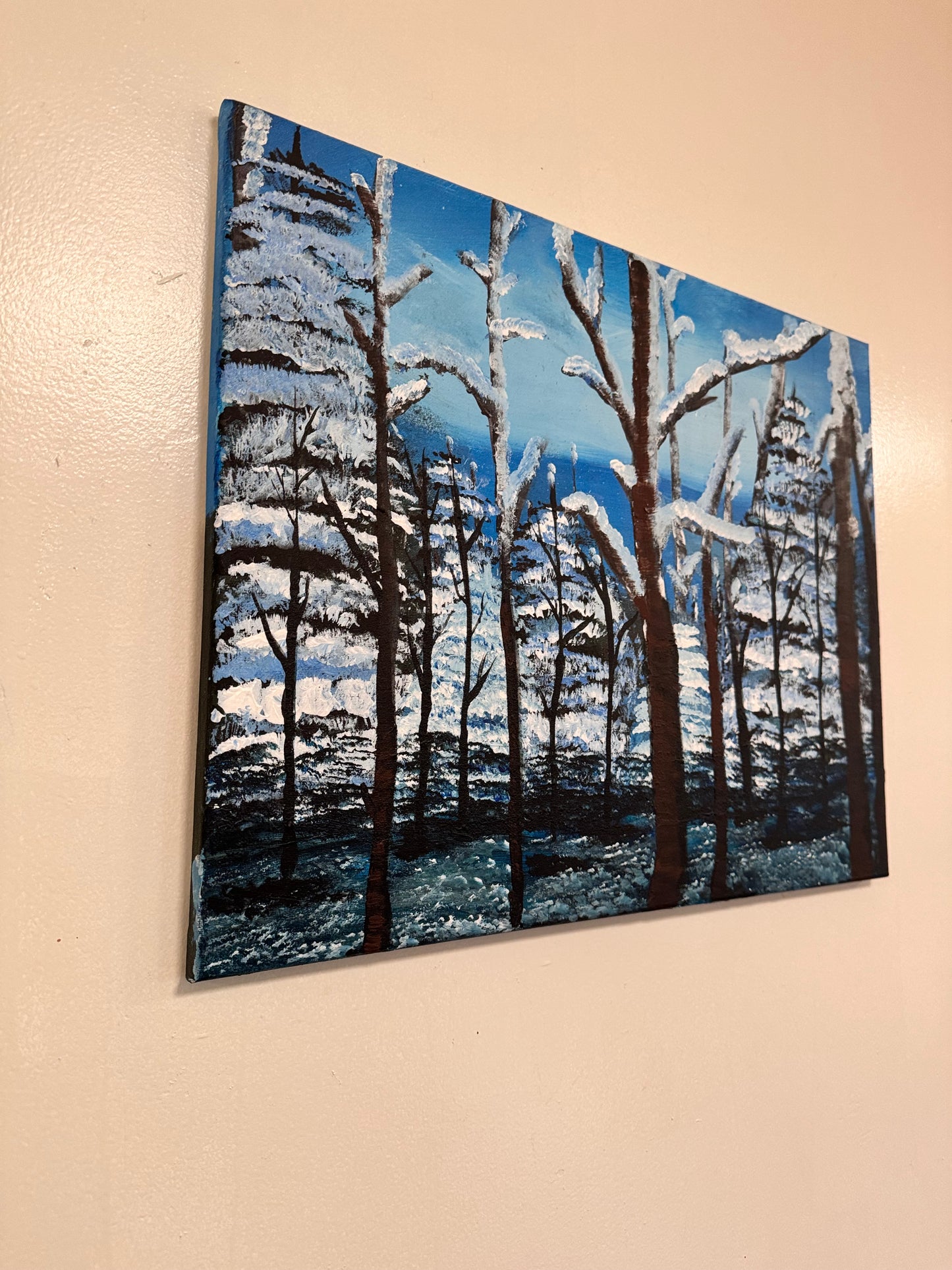 Wilderness Snow Haven