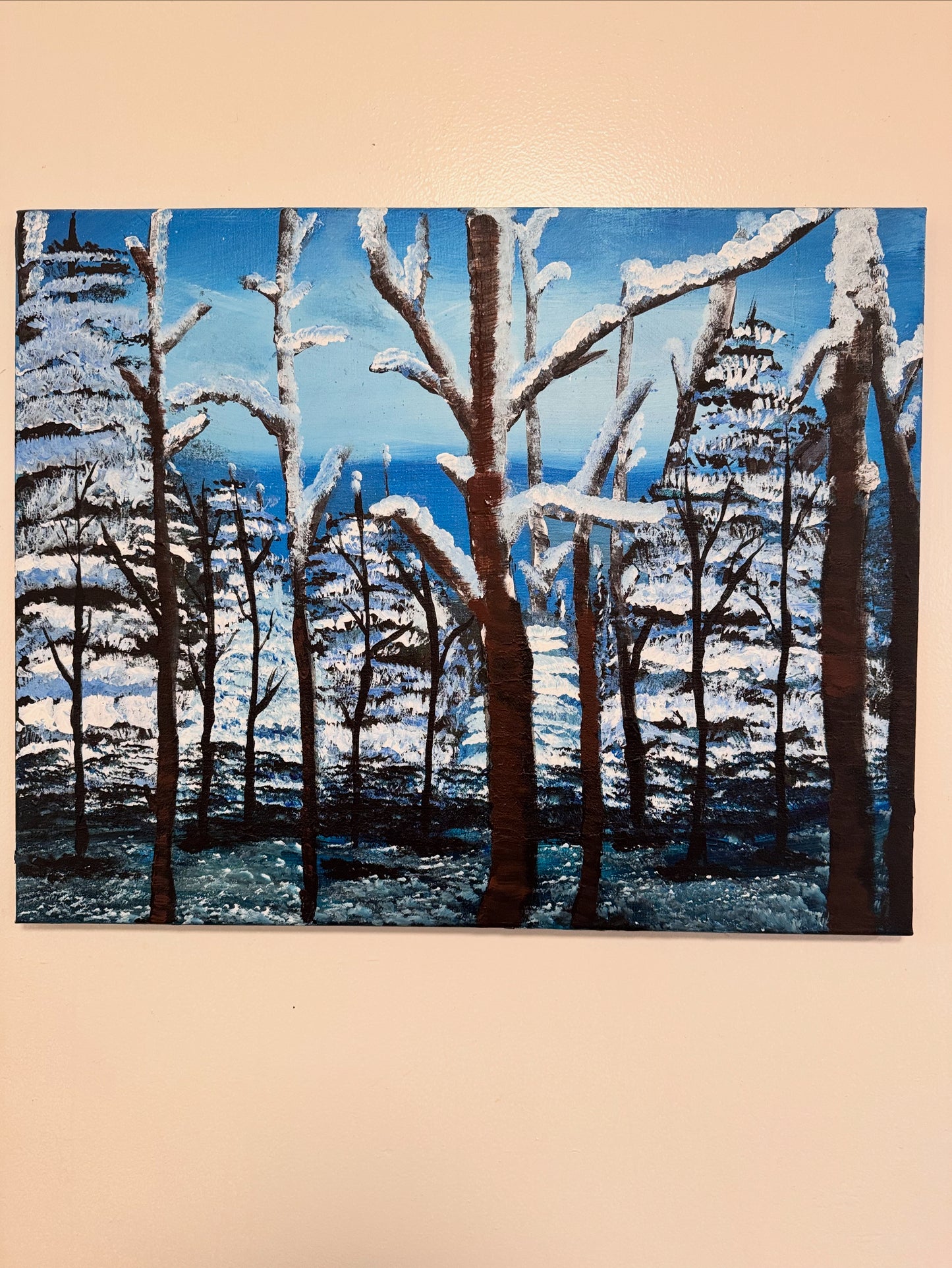 Wilderness Snow Haven