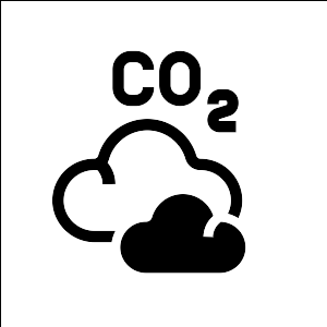 Offsetting Carbon to fight climate change