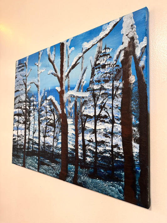 Wilderness Snow Haven