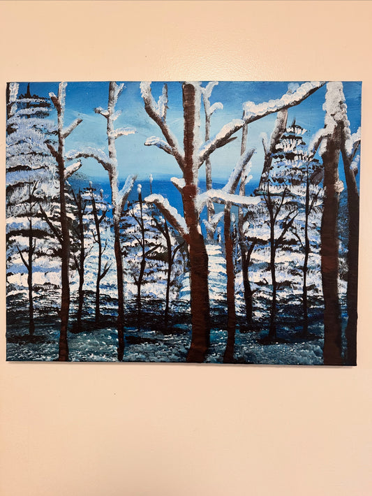 Wilderness Snow Haven