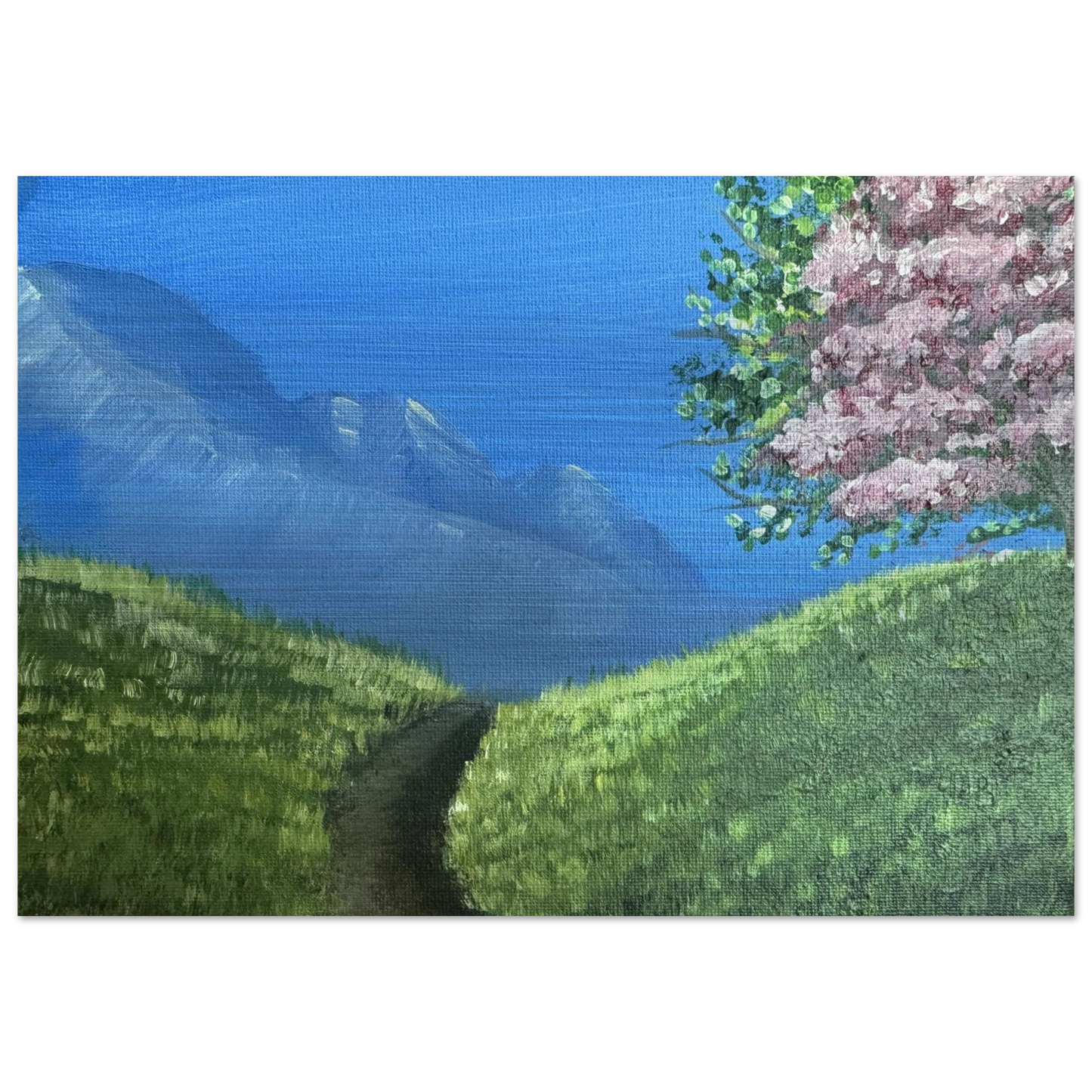 a67f734e-818b-44c0-abac-0d20daa01921